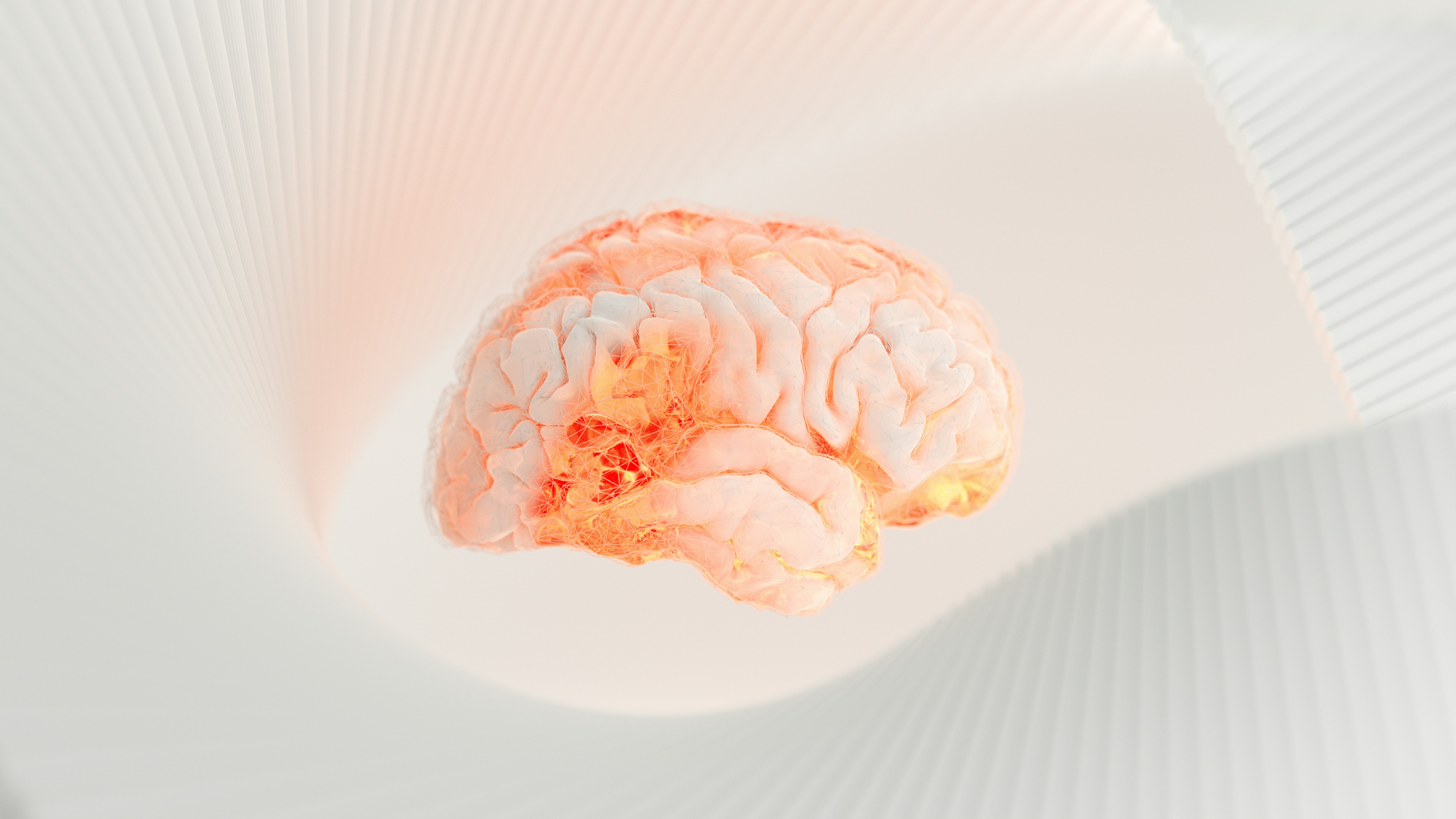 Research | NeuroConnect Lab